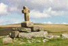 wpe22350.gif (122209 bytes)